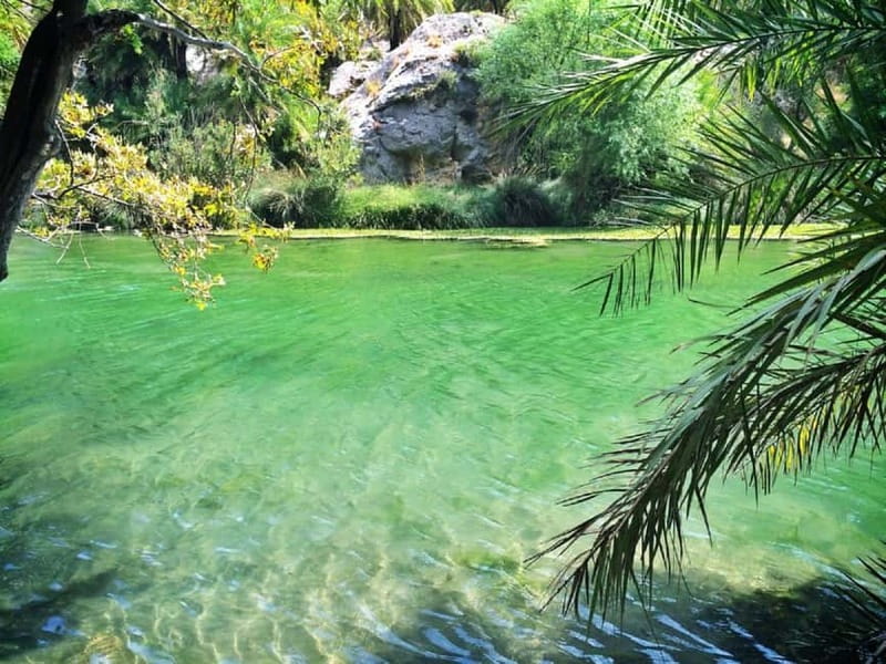 From Rethymno/Chania: Day Trip to Preveli Palm Beach - Who should book this tour, and who should skip it
