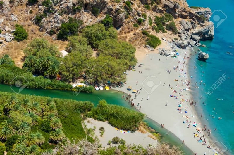From Rethymno/Chania: Day Trip to Preveli Palm Beach - Preveli Beach: palm forest scenery, swimming, and what to actually do