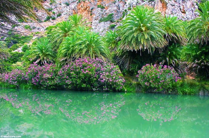 From Rethymno/Chania: Day Trip to Preveli Palm Beach - Price and value: why the low base cost makes sense, and what you must budget