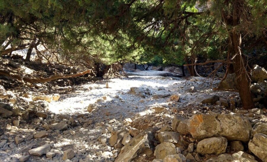 From Rethymno/Chania: Imbros Gorge Hike - Key Things To Know Before You Go