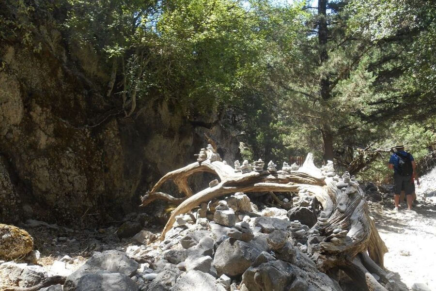 From Rethymno/Chania: Imbros Gorge Hike - Entering The Gorge, What The 2.5 Hours Feels Like