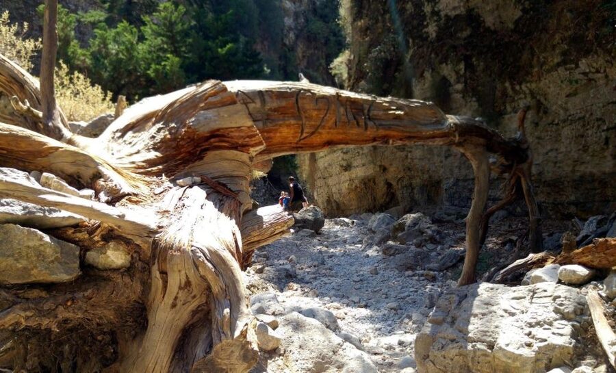 From Rethymno/Chania: Imbros Gorge Hike - Price and Value, What You’re Actually Paying For