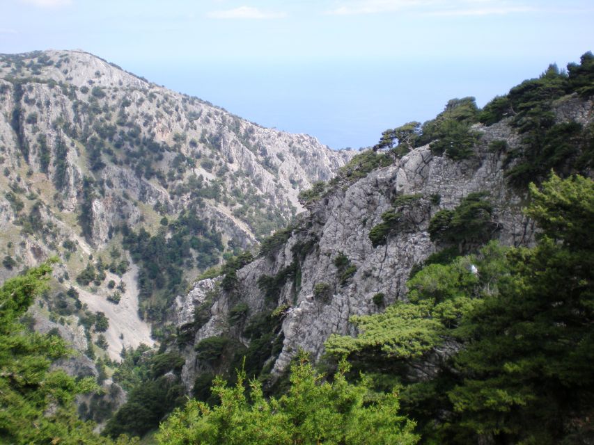 From Rethymno: Imbros Gorge & Libyan Guided Sea Tour - Should You Book Imbros Gorge and Libyan Sea?