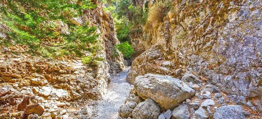 From Rethymno: Imbros Gorge & Libyan Guided Sea Tour - Morning Pickup From Rethymno, Then Into the White Mountains