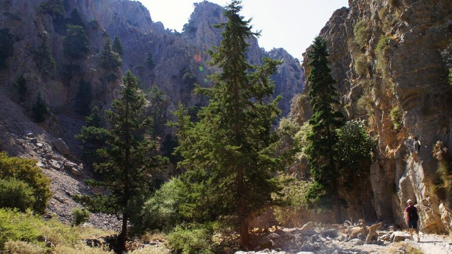 From Rethymno: Imbros Gorge & Libyan Guided Sea Tour - Libyan Sea Swim Stop and Traditional South-Coast Lunch