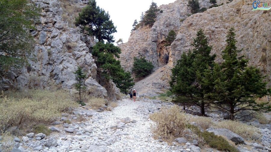 From Rethymno: Imbros Gorge & Libyan Guided Sea Tour - Price and Logistics: What Your $34 Gets You