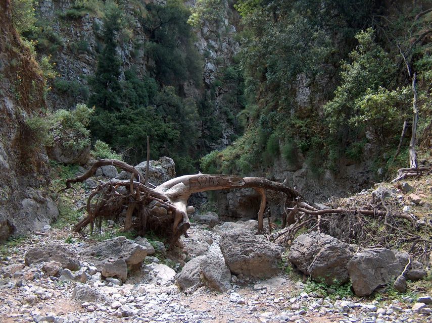 From Rethymno: Imbros Gorge & Libyan Guided Sea Tour - What to Bring, and How to Survive the Day Comfortably