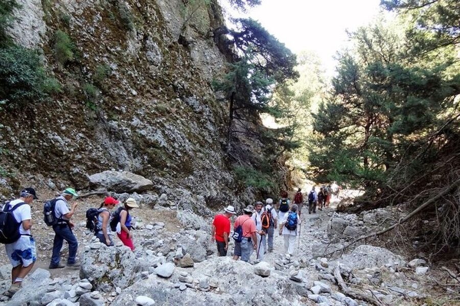 From Rethymno: Imbros Gorge & Libyan Guided Sea Tour - Who Should Book This Day Trip (and Who Should Skip It)