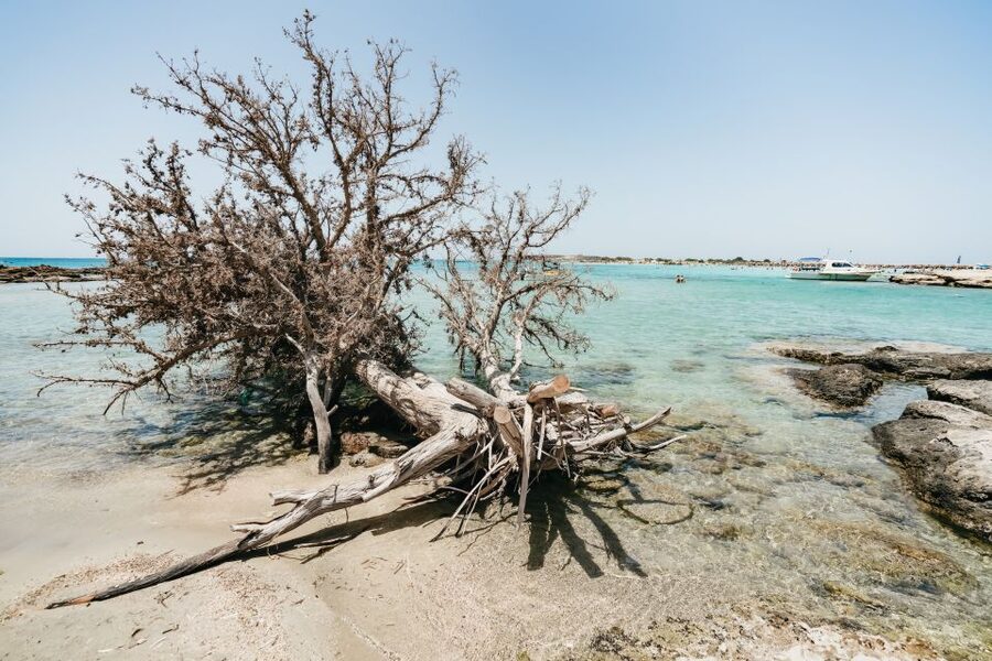 From Rethymno/Kavros: Elafonissi Pink Sand Beach Tour - How the Rethymno to Elafonissi coach ride works (and why you’ll like it)