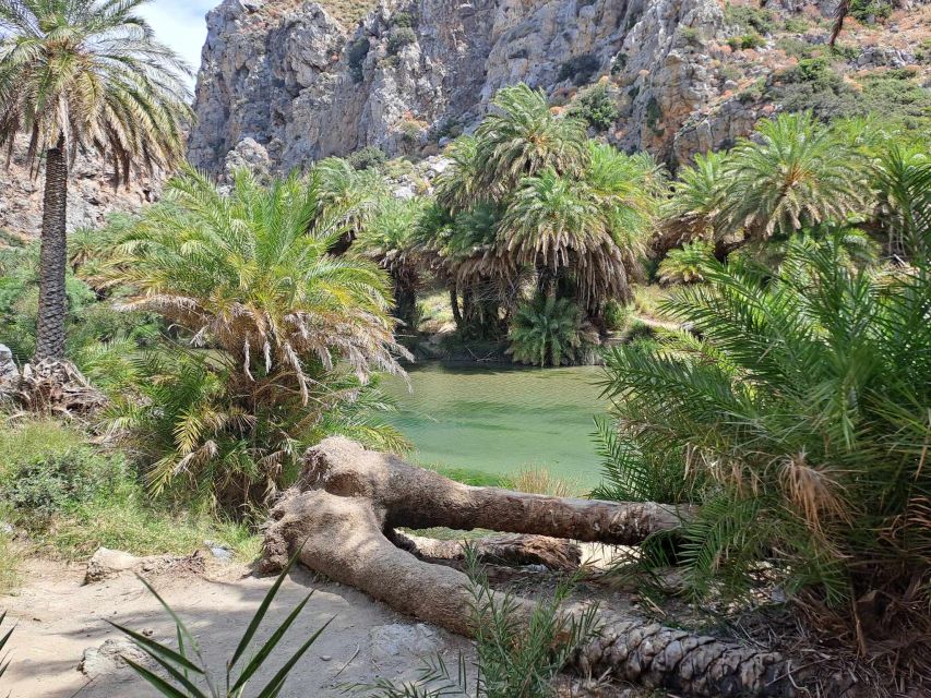 From Rethymno: Kourtaliotiko, Preveli Palm Beach, & Damnoni - The boat ride to Preveli: the water-level view you did not plan on