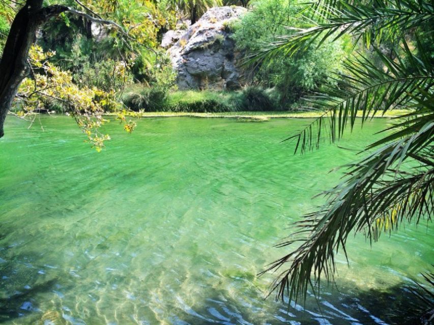 From Rethymno: Preveli Palm Beach and Kourtaliotiko Day Trip - How the $25 Price Stacks Up (Boat Ticket and Extra Fees)