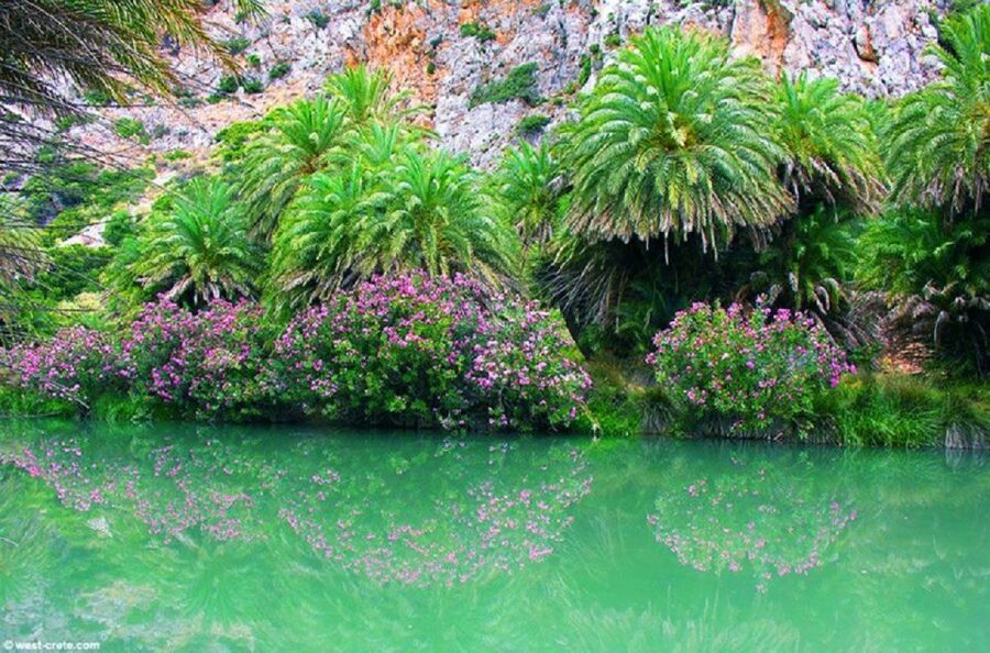 From Rethymno: Preveli Palm Beach and Kourtaliotiko Day Trip - Tips That Make This Day Trip Feel Easier