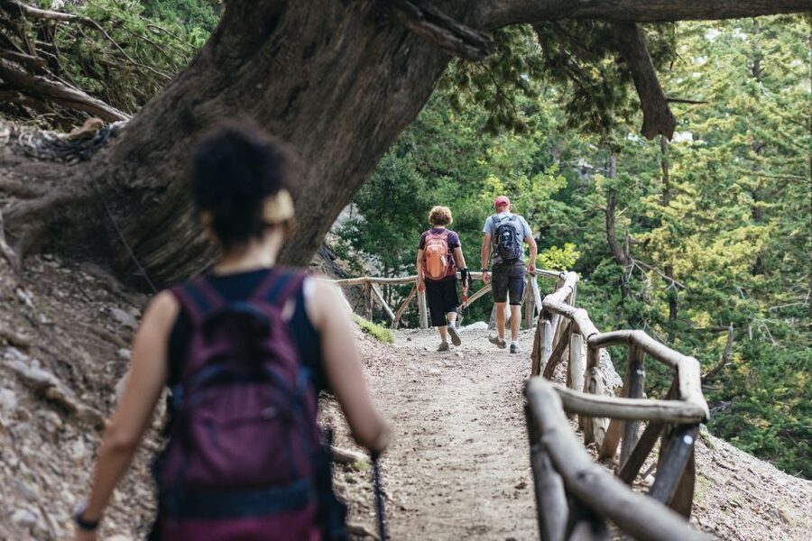 From Rethymno: Samaria Gorge Full-Day Trek, Pickup & Guide - Water, springs, and those nature moments you’ll remember