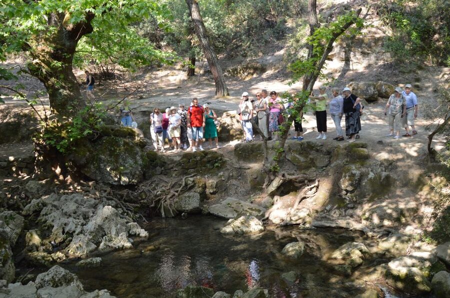 From Rhodes: Bus Tour to Lindos and the Seven Springs - Pickup By Bus 30: A smooth day starts at your doorstep