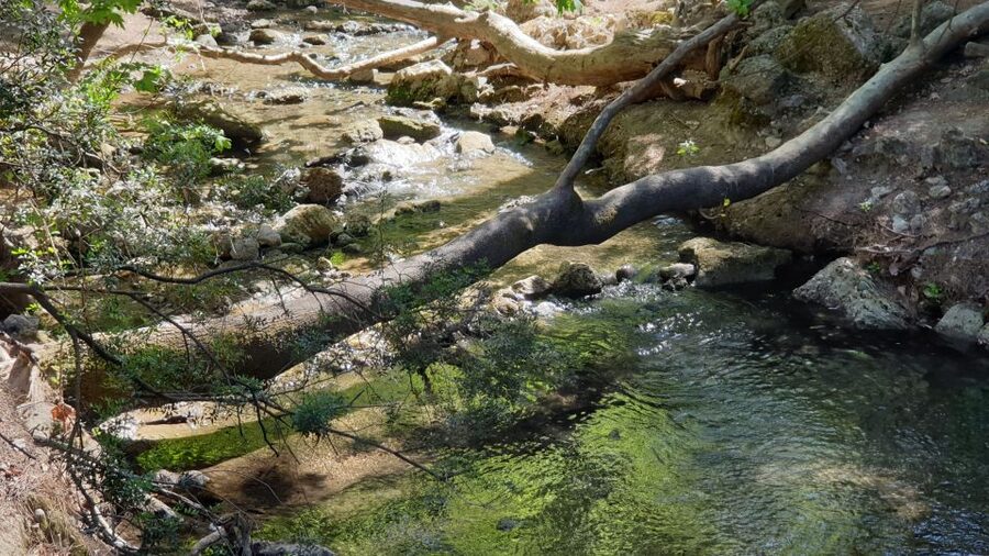 From Rhodes: Lindos and 7 Springs Valley Bus Tour - Seven Springs Valley: Forest Sounds, a Tunnel Walk, and What to Expect