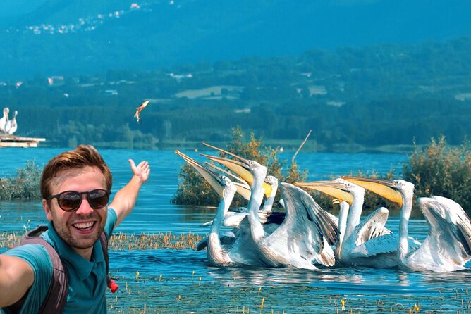 From Thessaloniki: Private Day Trip to Kerkini Lake - Key highlights at a glance