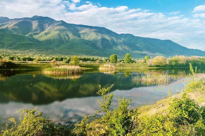 From Thessaloniki: Private Day Trip to Kerkini Lake - Buffalo farm and coffee stop: when the wildlife comes closer
