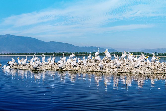 From Thessaloniki: Private Day Trip to Kerkini Lake - Vironia village lunch: a traditional Greek meal with real views