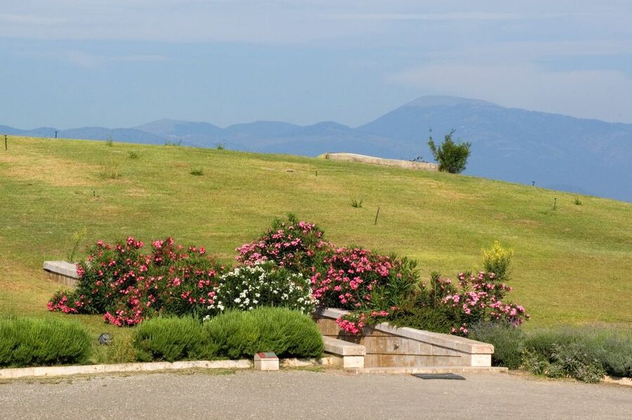 From Thessaloniki: Vergina & Veria Half-Day Tour - Aristotle and Alexander: A Guide Thread You’ll Want