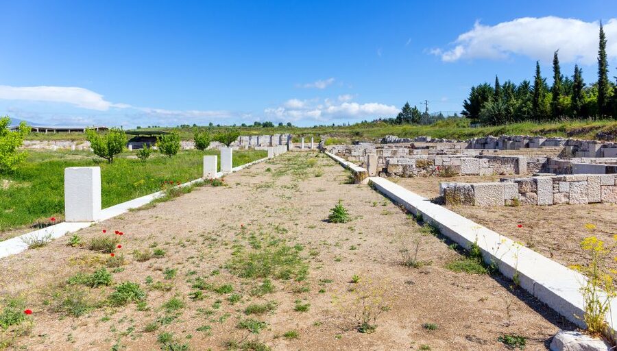 From Thessaloniki: Vergina & Veria Half-Day Tour - Timing, Lunch, and the Real-Day Logistics
