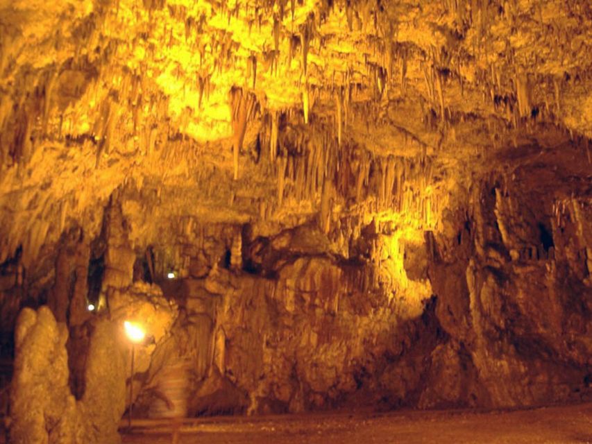 From Zakynthos: Kefalonia Island Full Day Tour by Bus & Boat - Drogarati Cave: stalactites, a steep stair count, and real cave time