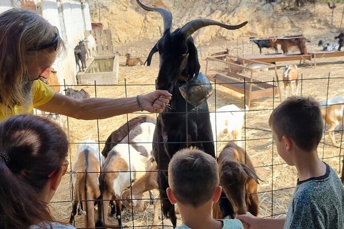 Full Day 4x4 Self-Drive Safari Tour in Crete with BBQ Lunch - Stop 1 in Malia: the vehicle talk that prevents problems