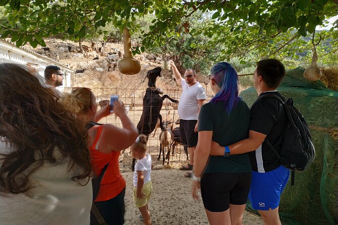 Full-Day Jeep Safari Tour with Cooking Lesson - Avdou and Ano Kera: village continuity and mountain-country herbs