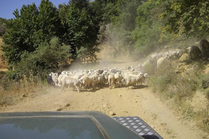 Full-Day Land Rover Safari from Heraklion with Lunch - Lassinthos Eco Park and Seli village on the plateau