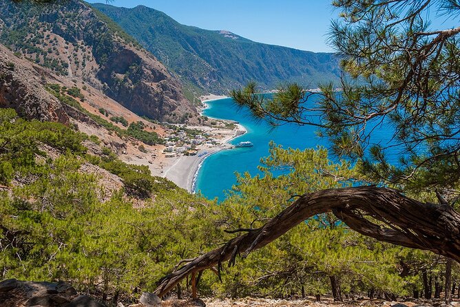 Full-Day Samaria Gorge Chania Guided Tour - Midday break and the end-of-gorge reward: tavern Kri-Kri, plus a Libyan Sea swim