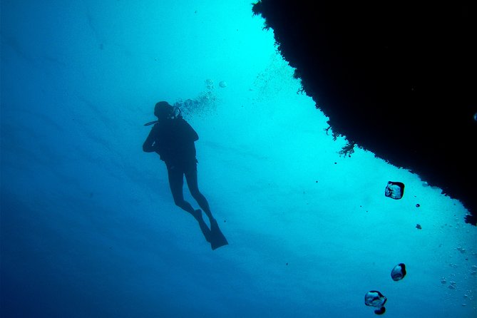 (Full day)Scuba Diving in Rhodes - Snorkeling Time Isn’t a Side Activity, It’s Part of the Value