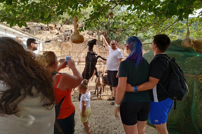 Full-Day Small-Group Tour in Crete with Zeus Cave Visit - Jeep-style Crete: why this tour feels more local