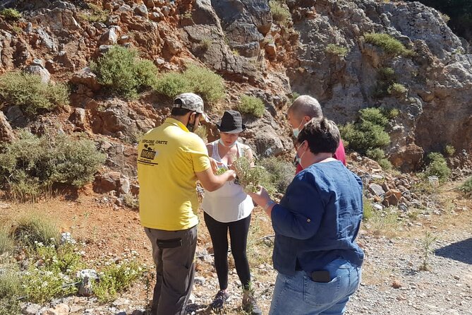 Full-Day Small-Group Tour in Crete with Zeus Cave Visit - Dikteon Cave and the Zeus ticket you must plan for