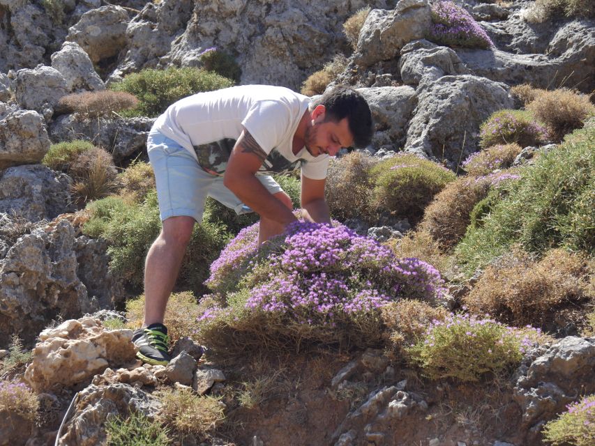 Georgioupolis Full-Day Land Rover Safari Experience - Climbing to 1,200 meters, the White Mountains off-road part