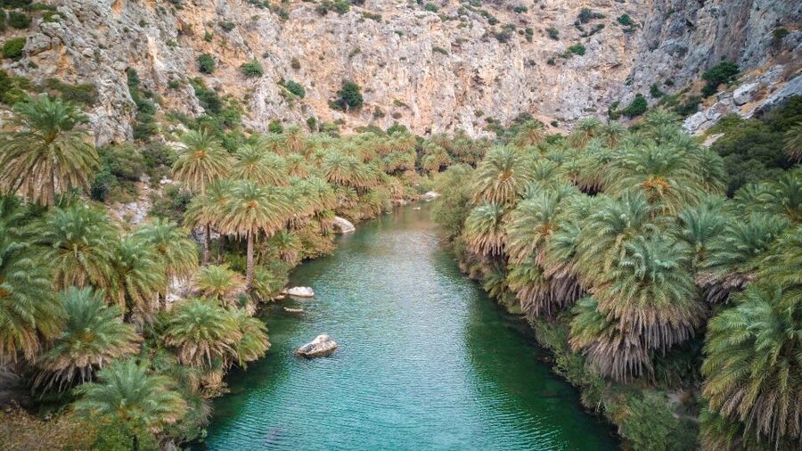 Georgioupolis: Preveli Palm Beach Day Trip by Bus and Boat - How This Day Trip Actually Feels, Palm Forest First