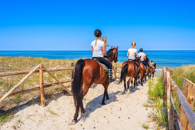 Golden Hour Gallop: Evening Ride in Paros - Golden Hour Gallop key points to know before you go