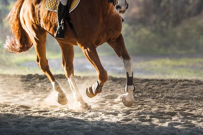 Golden Hour Gallop: Evening Ride in Paros - Where you meet: Kormos Farm in Kakapetra (and how to get there)