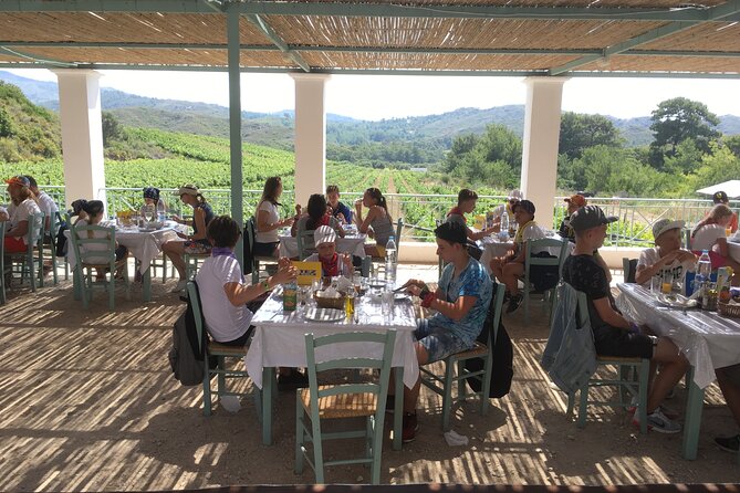 Gourmet Journey: 12-Course Lunch, Wine Tasting & Culinary Session - The hands-on Rhodes cooking class, dolmades and tzatziki energy