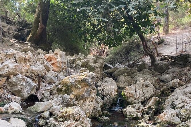 Guided hike to the seven springs from Archangelos - Getting Started: 8:30 Pickup and the Archangelos Meeting Point