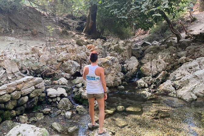 Guided hike to the seven springs from Archangelos - After the Springs: Woodland Paths and Olive Fields Toward Thinner Vegetation