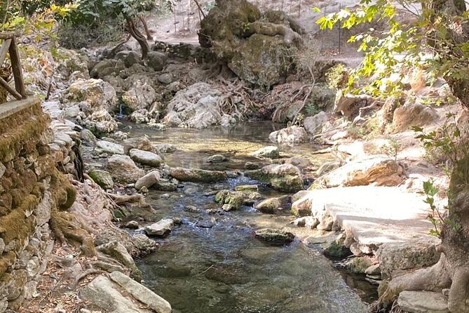 Guided hike to the seven springs from Archangelos - Price and Time: Is About $43 Worth It?