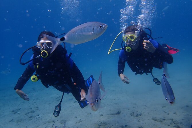 Half day boat diving experience for beginners in Kos Greece - What your first underwater session looks like