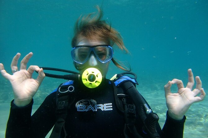Half day boat diving experience for beginners in Kos Greece - Price and value: what $126.15 really buys you