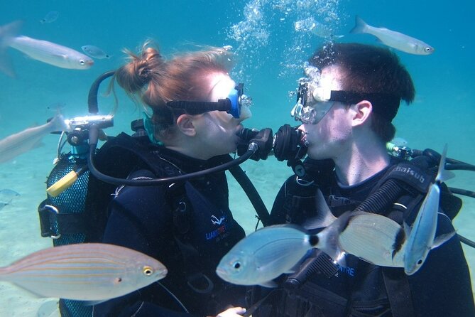 Half day boat diving experience for beginners in Kos Greece - Who this is best for (and who should pass)