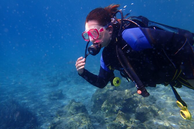 Half day boat diving experience for beginners in Kos Greece - The crew and safety vibe: what you should expect from the instructors