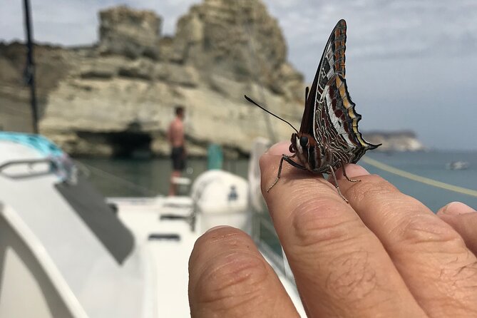 Half day Catamaran Morning Cruise in Kleftiko - Cape Vani and Kalogries: Clear Water, Quick Access, Real Swim Time