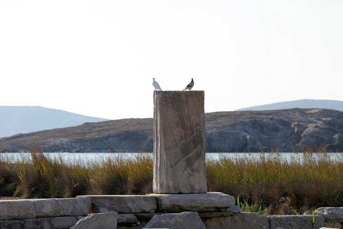 Half-Day Delos Tour from Mykonos - Theatre of Delos, the cistern, and the walk back toward the Sanctuary zone