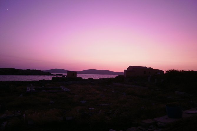 Half-Day Delos Tour from Mykonos - Museum time on your own, and how to spend it without feeling rushed