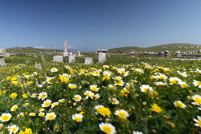 Half-Day Delos Tour from Mykonos - Wireless headsets, crowd level, and why timing on Delos matters