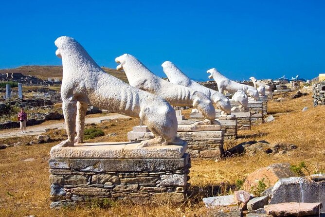 Half Day Delos Tour of Mykonos from the Cruise Ship Port - Key Things to Know Before You Go