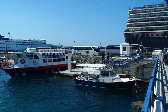 Half Day Delos Tour of Mykonos from the Cruise Ship Port - The Delos Museum Question: Site First, Museum Options Later